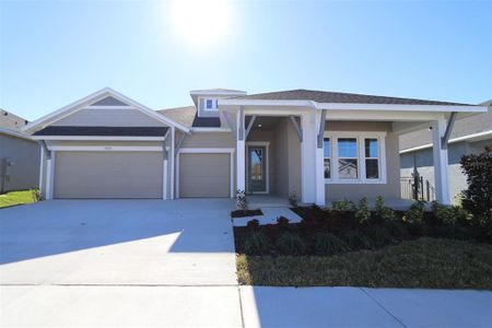 New construction Single-Family house 6123 Hidden Branch Dr, Apollo Beach, FL 33572 - photo 0