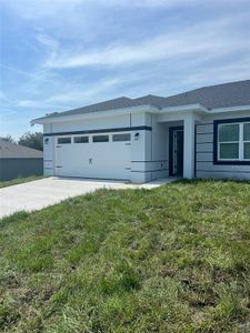 New construction Single-Family house 301 Bowfin Dr, Kissimmee, FL 34759 - image