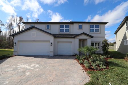 New construction Single-Family house 20125 Oriana Loop, Land O' Lakes, FL 34638 Santina II- photo 142 142