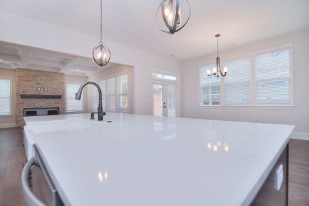 New construction Single-Family house 1041 Sage Pine Cir, Clover, SC 29710 plan Bethpage - image 16