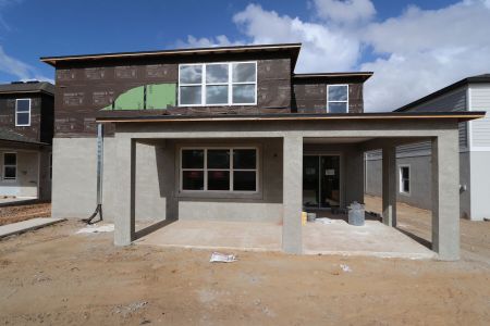 New construction Single-Family house 38338 Tobiano Loop, Dade City, FL 33525 Mira Lago- photo 75 75