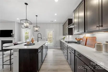 New construction Single-Family house 2023 Puddle Pond Rd, Indian Trail, NC 28079 plan Morganton - image