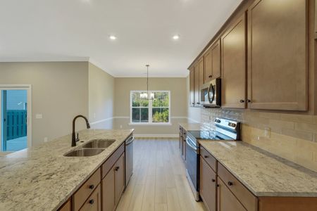 New construction Single-Family house 129 Hanover Pl, Richmond Hill, GA 31324 plan Harbor II - image 7