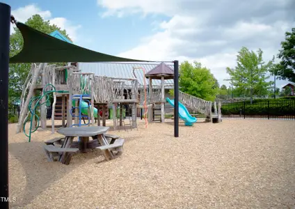 New construction Single-Family house 1922 Plott Balsam Dr, Wendell, NC 27591 plan Lennox - image 20