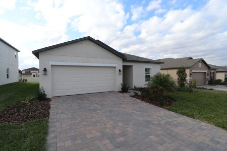 New construction Single-Family house 12227 Hilltop Farms Dr, Dade City, FL 33525 Sentinel- photo 103 103