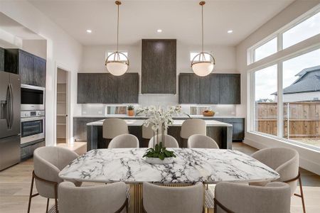 New construction Single-Family house 213 Lanter Ridge Dr, Aledo, TX 76008 plan Harmony - image 9