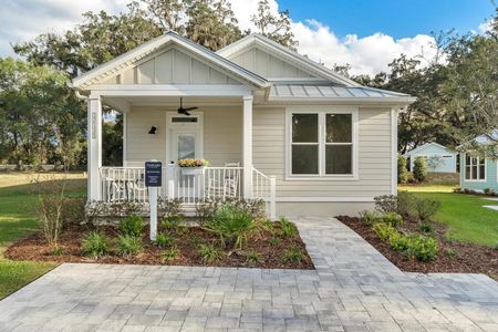 New construction Single-Family house 12176 Grand Oak Lane, Wildwood, FL 34484 - photo 0