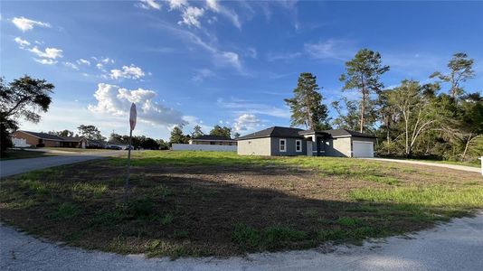 New construction Single-Family house 4121 Sw 172Nd Place Rd, Ocala, FL 34473 - image