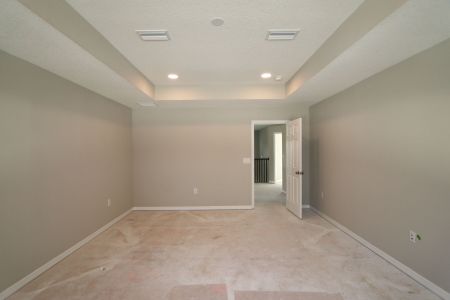 New construction Single-Family house 12008 Hilltop Farms Dr, Dade City, FL 33525 Alenza- photo 116 116