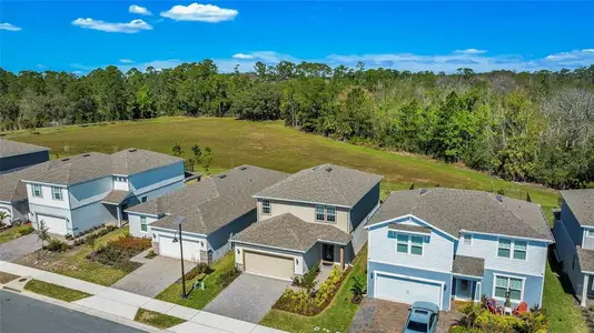 New construction Single-Family house 17291 Saw Palmetto Ave, Clermont, FL 34714 Morris- photo 31 31