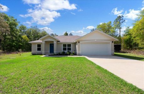 New construction Single-Family house 8 Guava Pass Trl, Ocklawaha, FL 32179 - image
