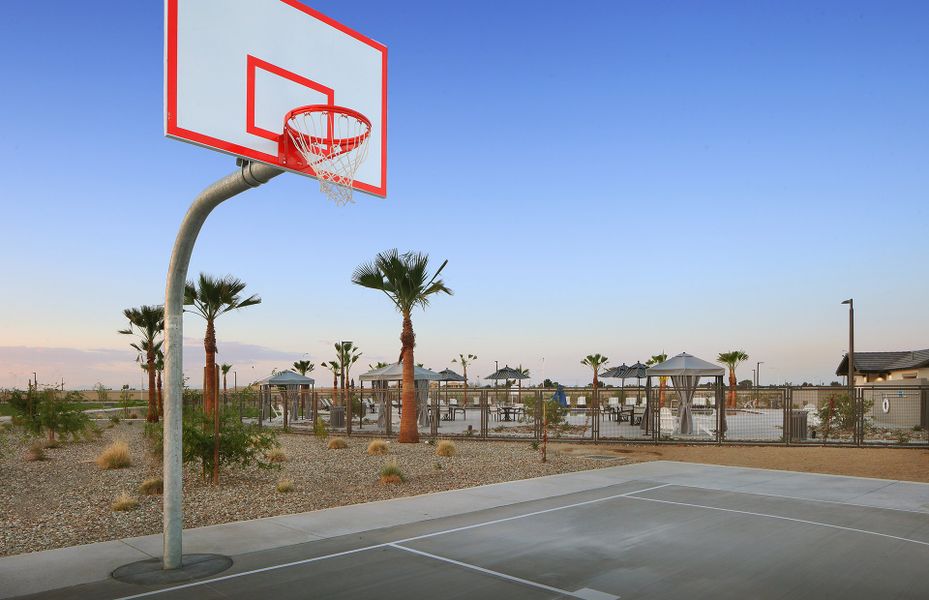 Basketball Court