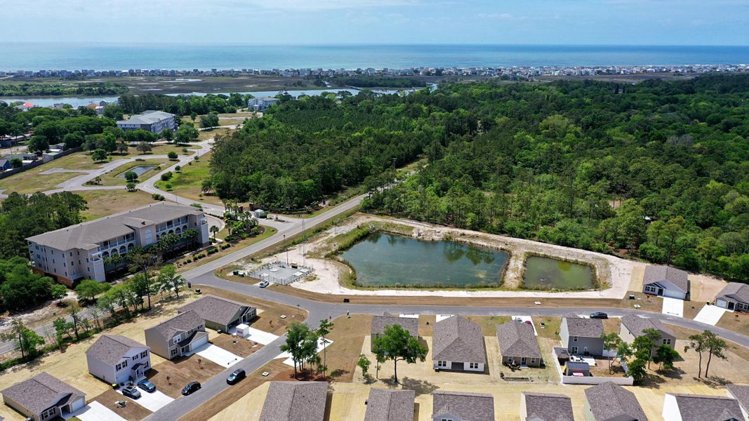 A large pond surrounded by trees.