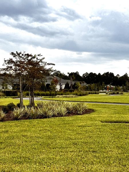 A serene landscape view in RiverTown - Ravines by Mattamy Homes, featuring lush greenery in St. Johns, FL.