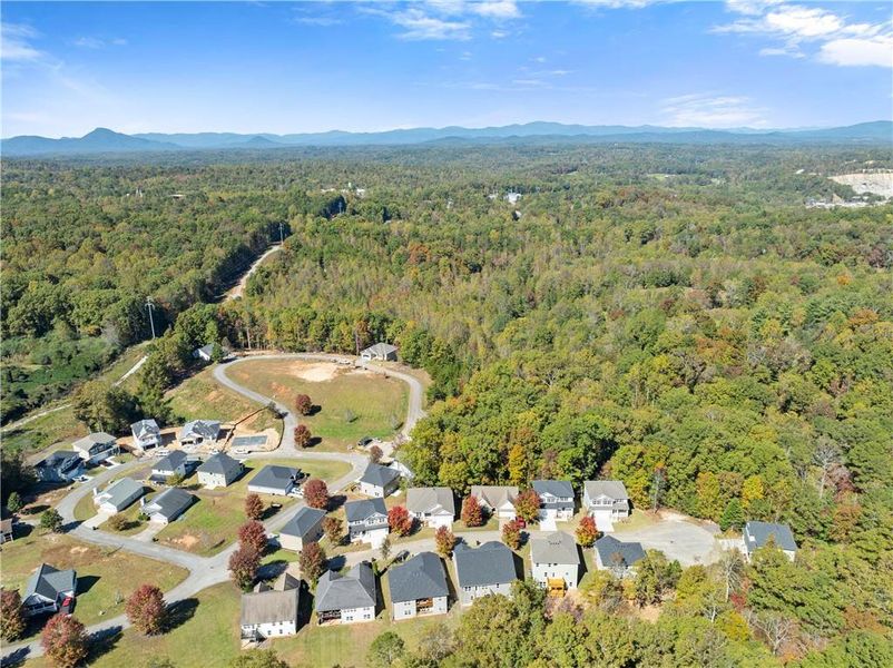 Aerial view of the Habersham Meadows community in Demorest, GA, showing layout and nearby surroundings (Image 3).