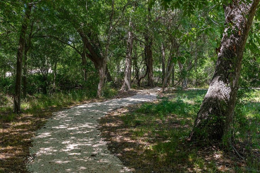 Natural surroundings and green spaces near Chambers Creek in Willis, TX (Image 25).