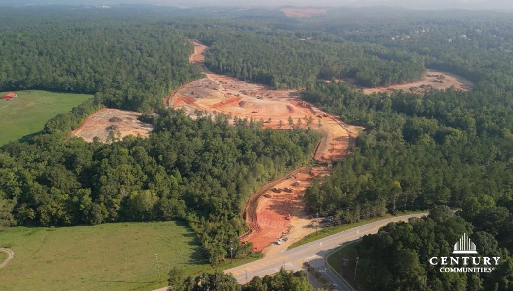 A road with trees and grass. A road with trees and grass.