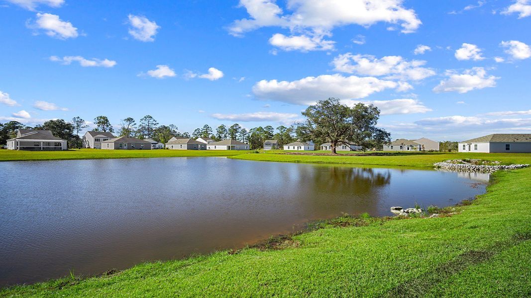 Community amenity available to residents of Longleaf Village in Rincon (Image 13).