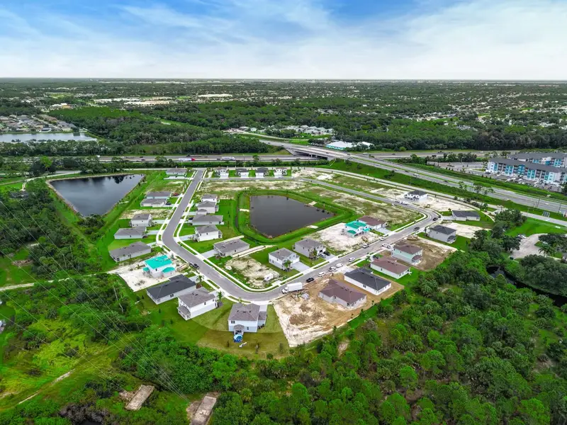 Neighborhood Aerial View
