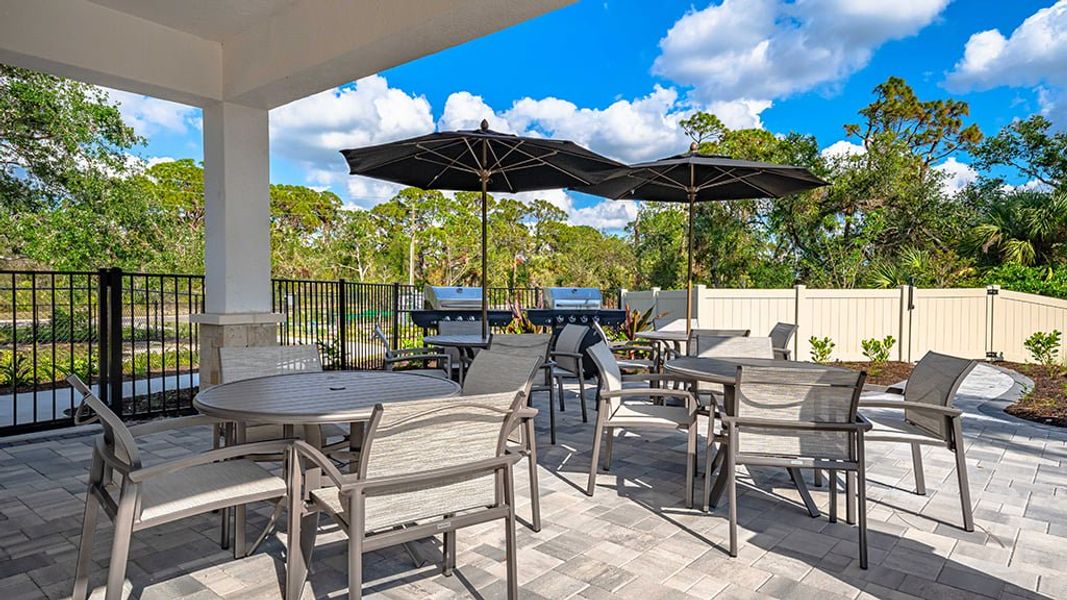 Community amenity available to residents of The Towns at Tiburon in Nokomis (Image 7).