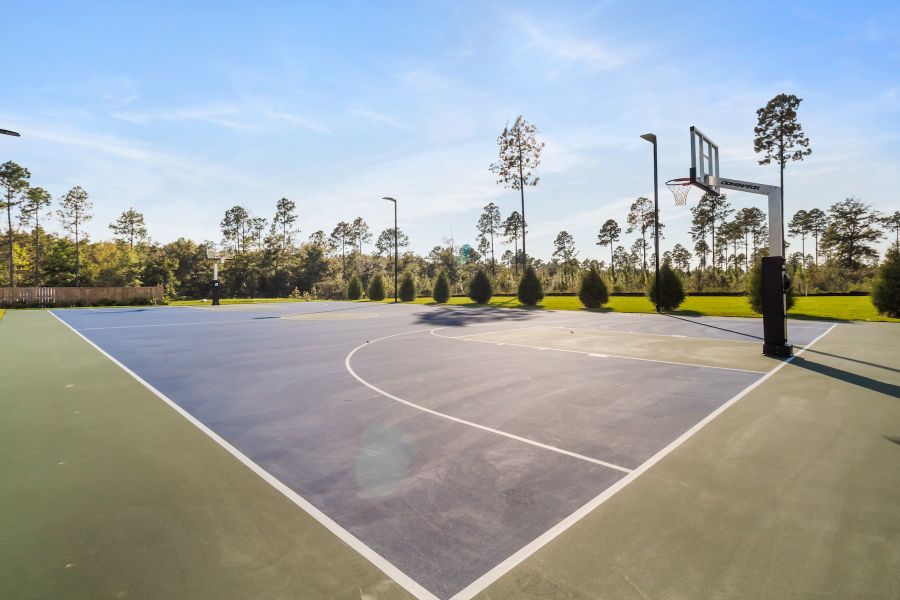 DSLD HOMES - Natureview Community - Freeport Florida - Sport Court