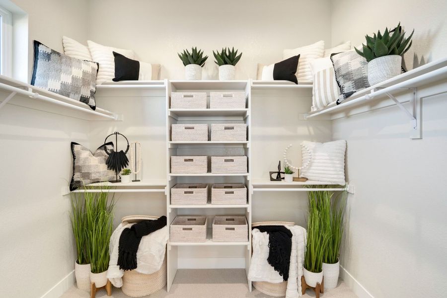 Kinston Centerra,80538 Kinston Centerra,80538