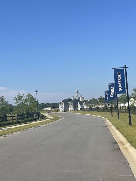 A serene street view in Somerset Two-Story Homes by Ryan Homes, showcasing landscaped pathways in Santee, SC.