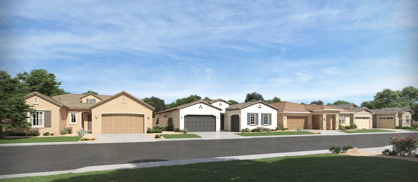 Bella Vista Farms Streetscape Rendering