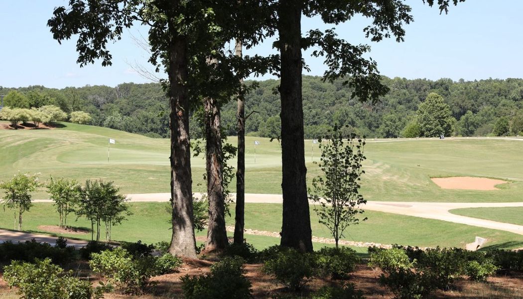 Natural surroundings and green spaces near Chimney Oaks in Homer, GA (Image 37). Natural surroundings and green spaces near Chimney Oaks in Homer, GA (Image 37).