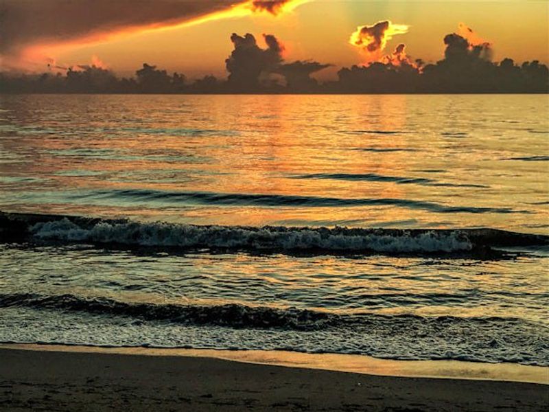 Natural surroundings and green spaces near Lucaya Pointe in Vero Beach, FL (Image 73).