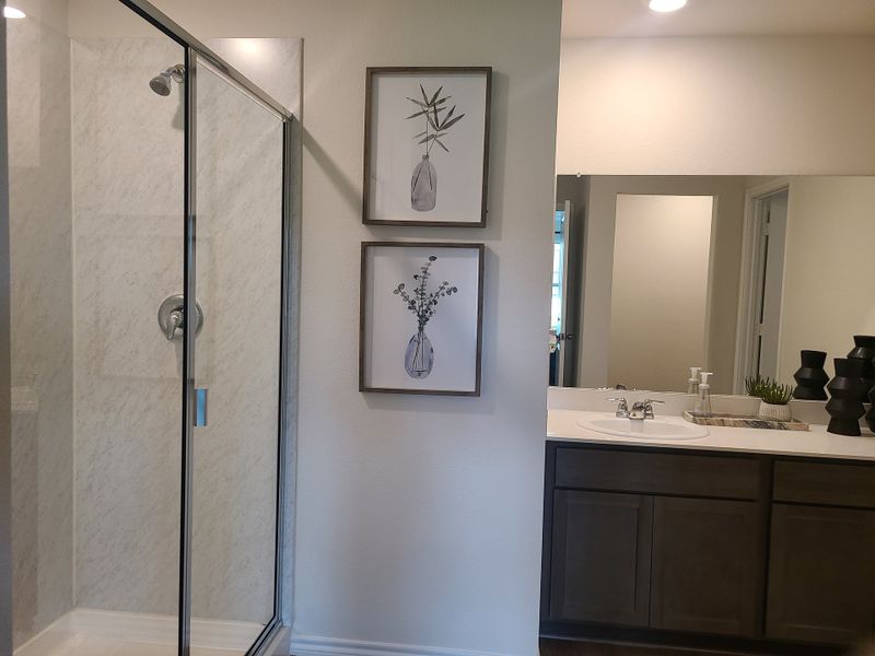 A modern bathroom features a glass shower, elegant vanity, and tasteful framed botanical artwork. A modern bathroom features a glass shower, elegant vanity, and tasteful framed botanical artwork.