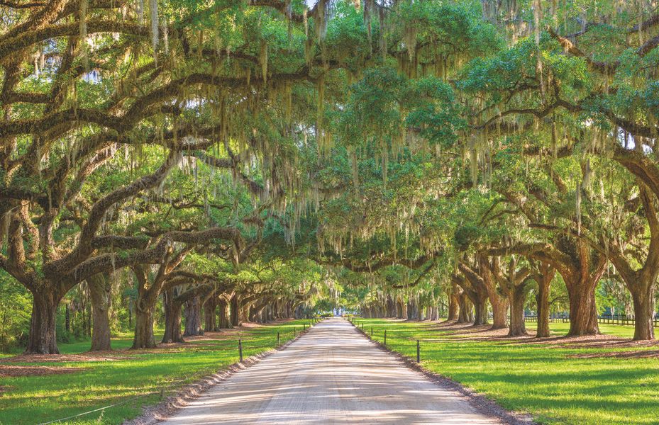 Enjoy Nearby Parks