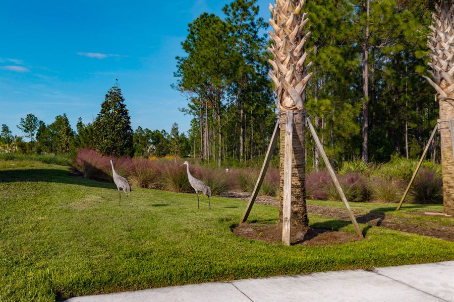 Trinity Gardens in DeLand, FL – New Home Community Surrounded by Nature