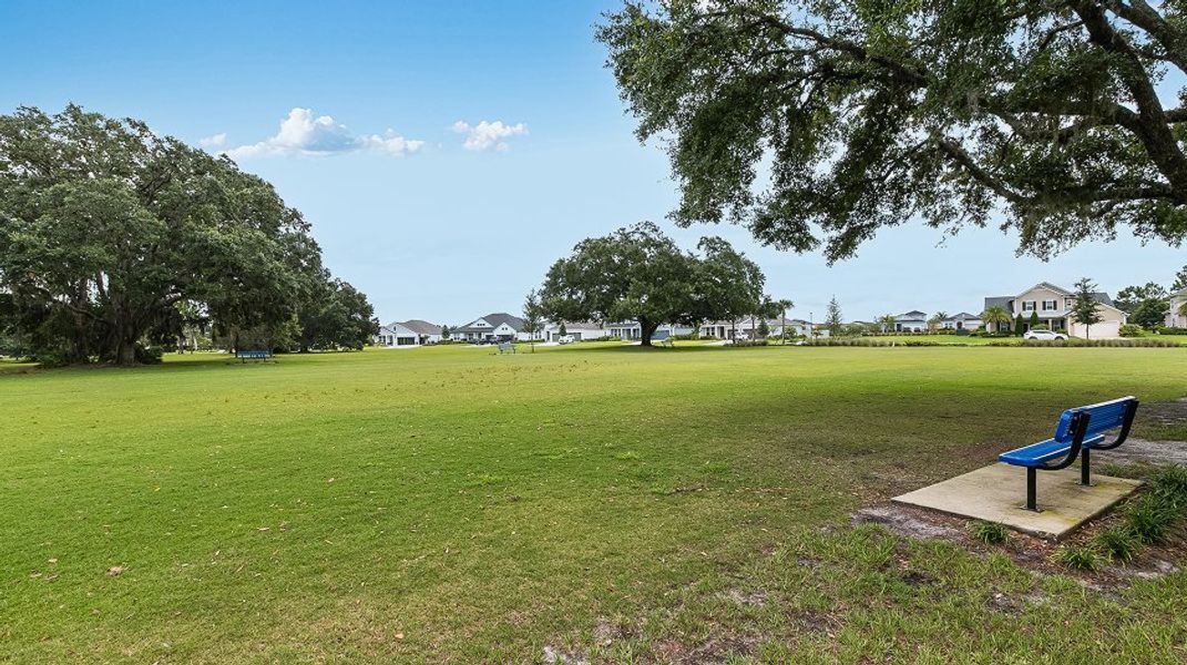 Silver Leaf Amenity Picnic Area 10 31 25