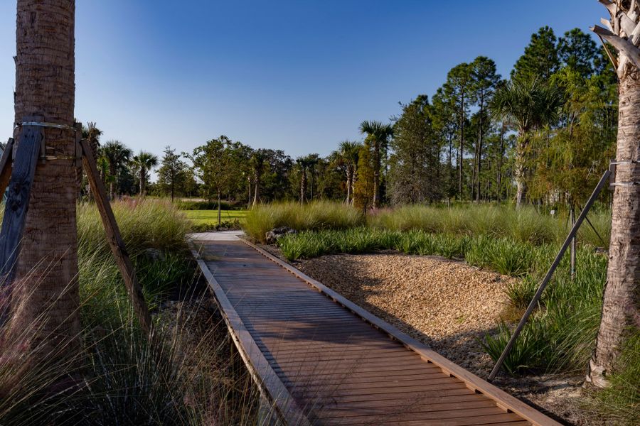 Trinity Gardens in DeLand, FL – New Home Community Surrounded by Nature Trinity Gardens in DeLand, FL – New Home Community Surrounded by Nature