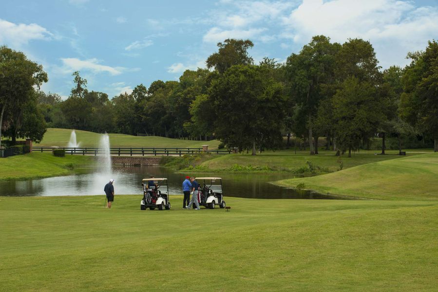 Image 42 of the Sienna community in Missouri City, TX.