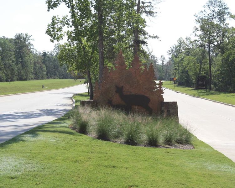 Community amenity available to residents of Woodforest in Montgomery (Image 5).