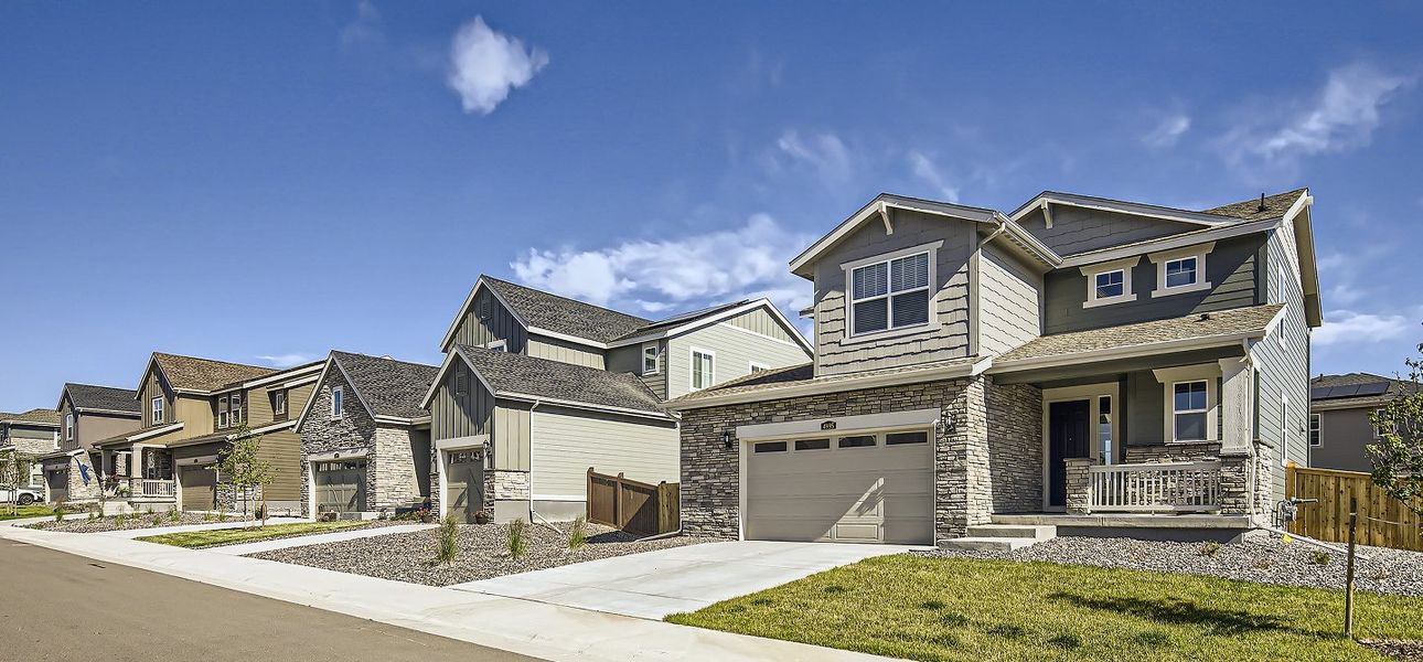 Willow Bend Grand Collection Streetscape (1)