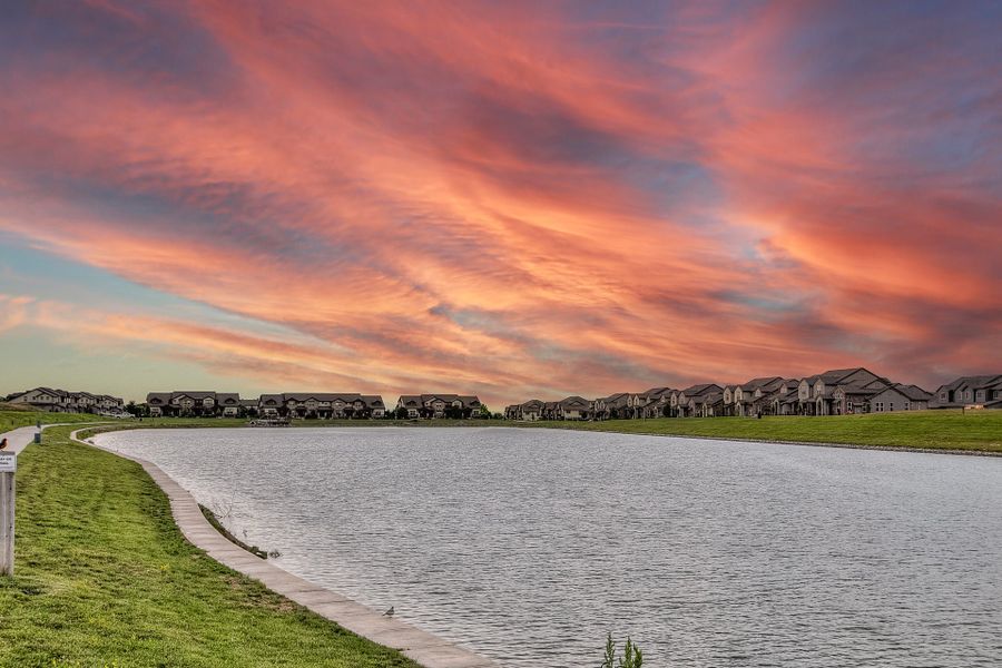 Natural surroundings and green spaces near Vernazza in Windsor, CO (Image 32).