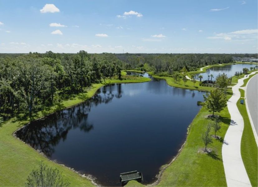 Natural surroundings and green spaces near North River Ranch in Parrish, FL (Image 95). Natural surroundings and green spaces near North River Ranch in Parrish, FL (Image 95).