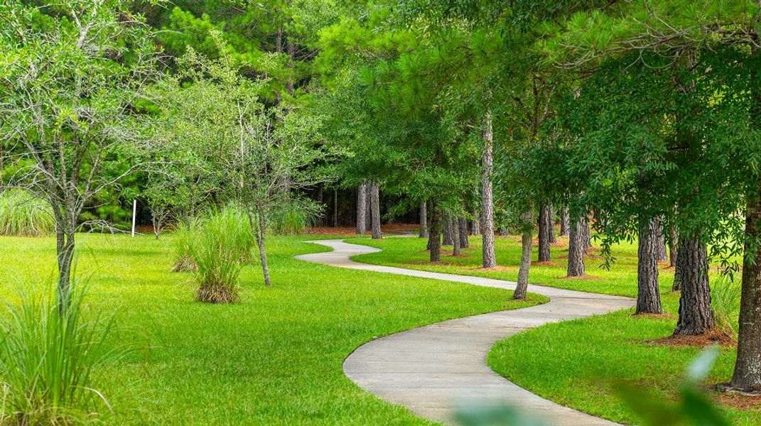 Piney Pointe Amenity Trails 2of2