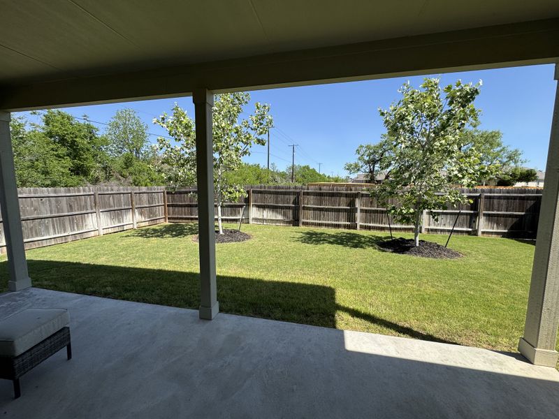 A spacious backyard with a covered patio, green lawn, and young trees enclosed by a wooden fence.