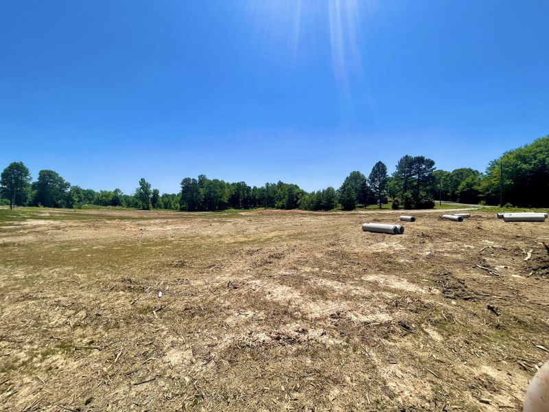 Image 12 of the Peyton Pointe community in Inman, SC.