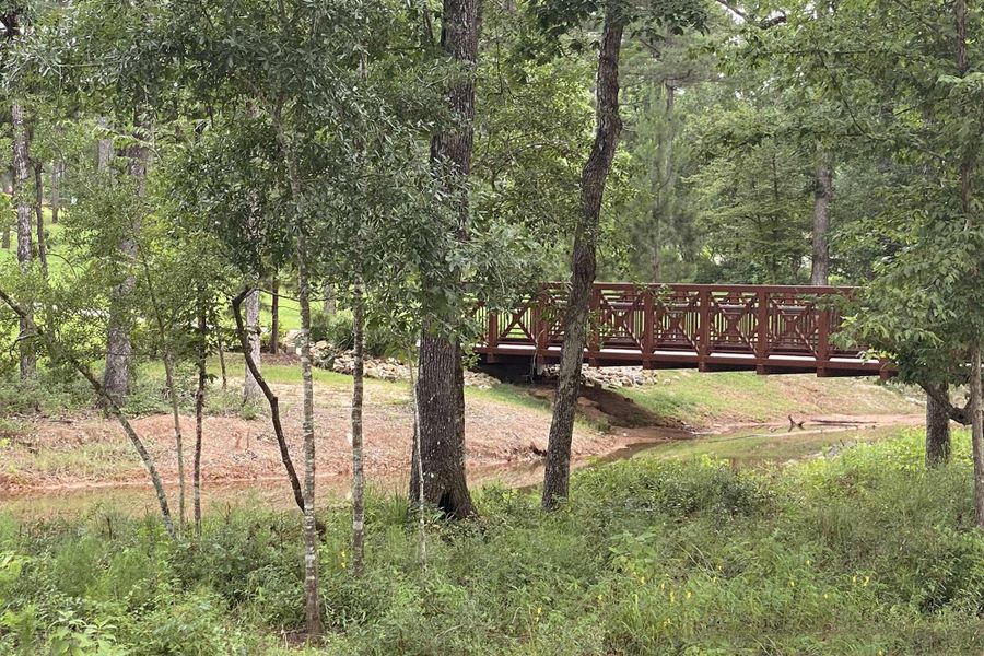 Image 36 of the The Woodlands Hills 55' - Skyline Ridge community in Willis, TX. Image 36 of the The Woodlands Hills 55' - Skyline Ridge community in Willis, TX.