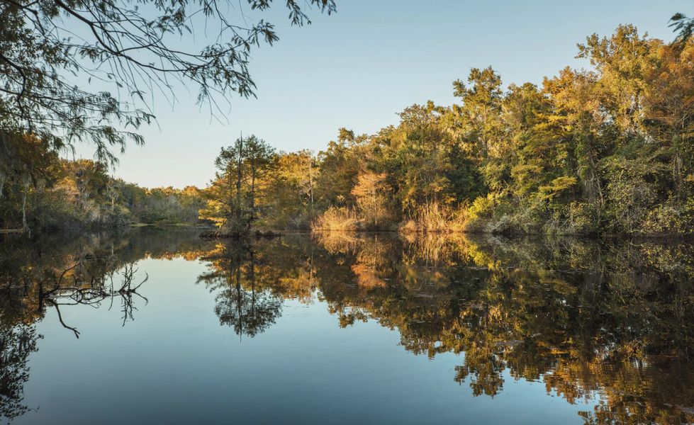 Natural surroundings and green spaces near Seven Pines in Jacksonville, FL (Image 65). Natural surroundings and green spaces near Seven Pines in Jacksonville, FL (Image 65).