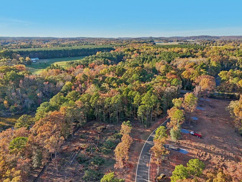 Natural surroundings and green spaces near Edgewater on Lake Tillery Inland in Norwood, NC (Image 14).