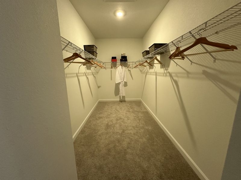 A spacious walk-in closet with ample shelving, wooden hangers, and cozy carpet flooring.