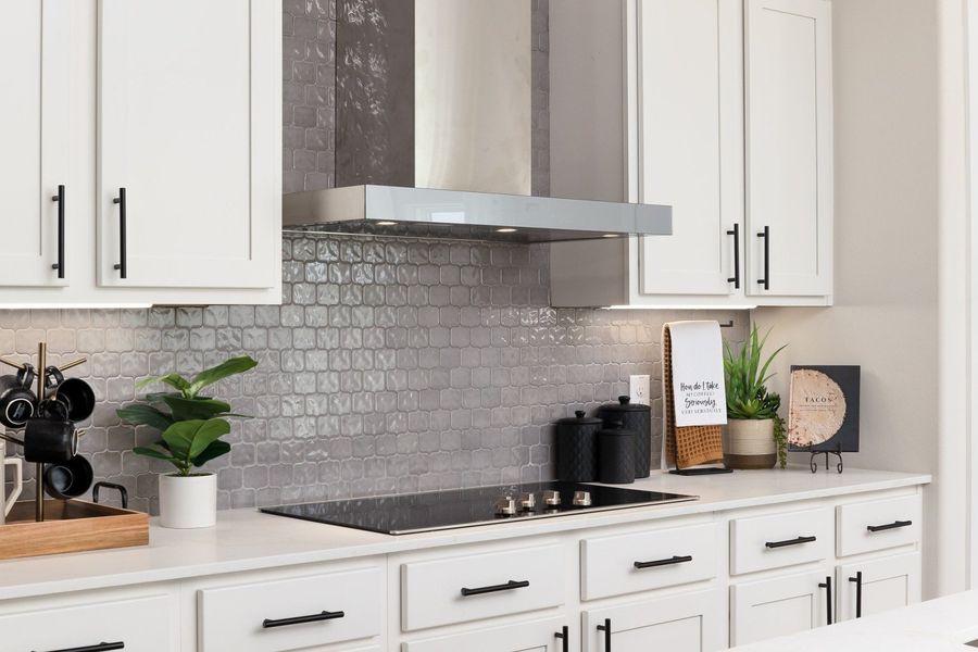 Image 70 of the Alberta Heights community in Edinburg, TX.