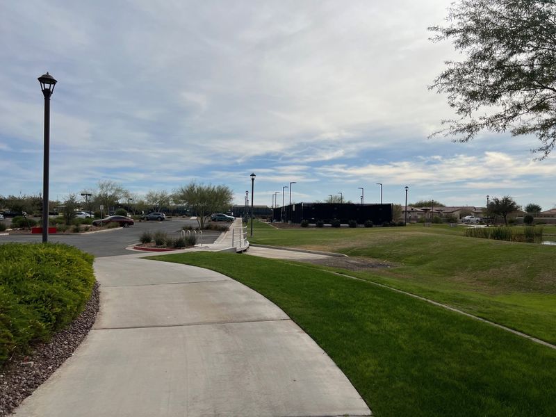 Scenic parkway with lush greenery in CantaMia at Estrella 55+ by Taylor Morrison, Goodyear, AZ.