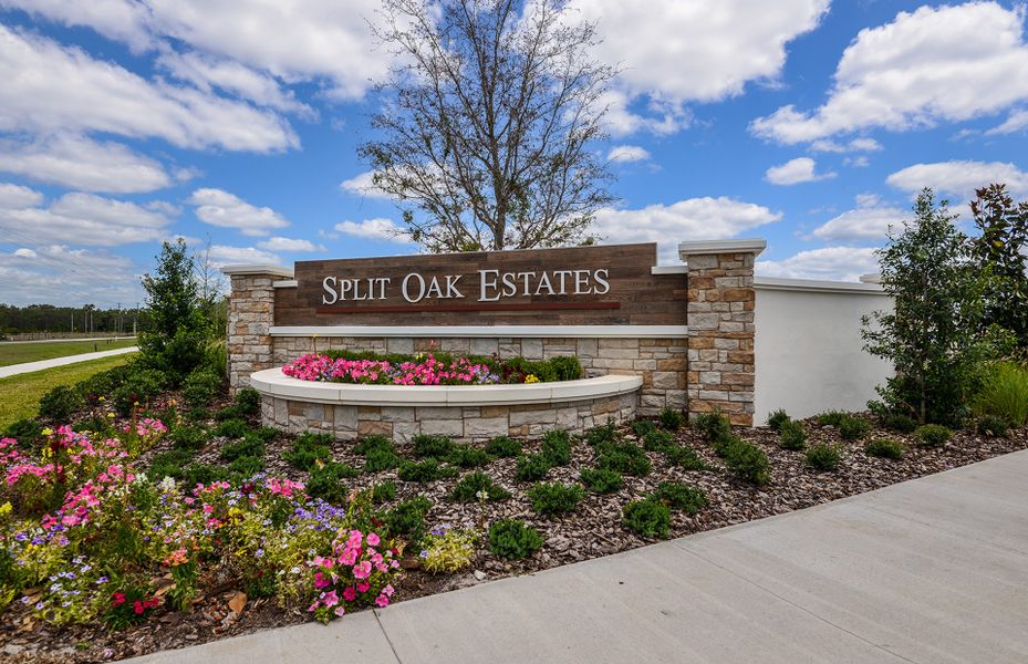 Image 29 of the Split Oak Estates community in St. Cloud, FL.